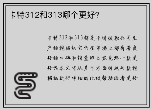 卡特312和313哪个更好？